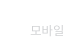 Mobile 모바일